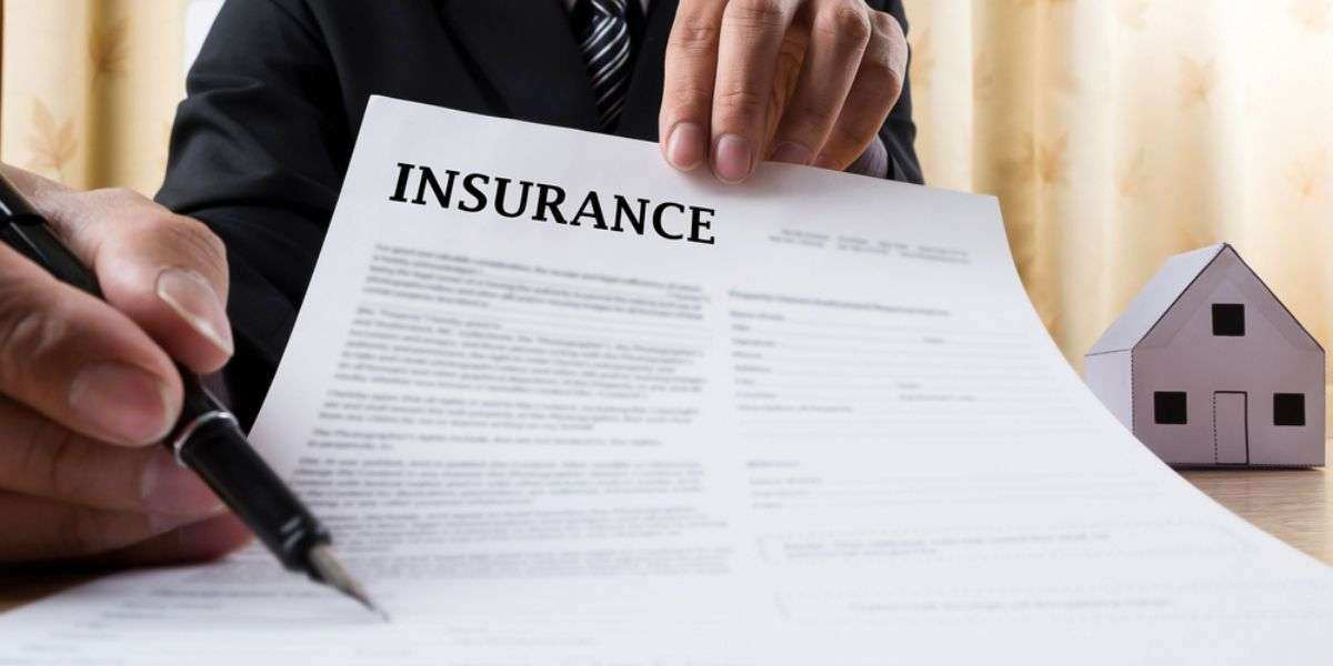 2 Business Insurance sale man showing an insurance policy