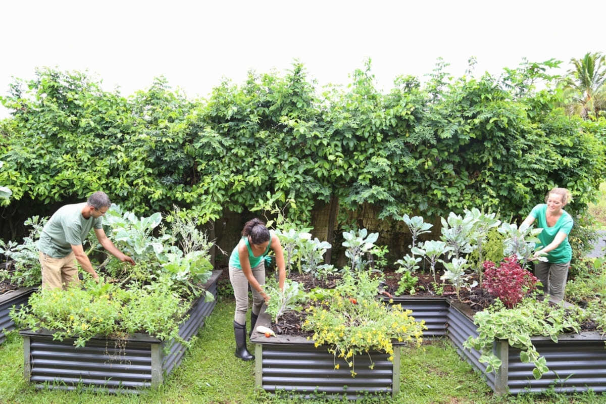 People working on a community garden